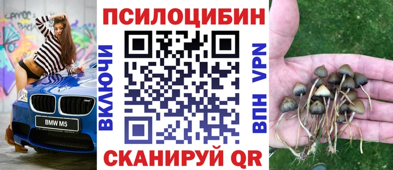Псилоцибиновые грибы мицелий  Купить  Курганинск 